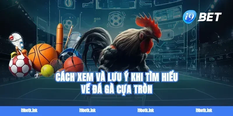 Cách xem và lưu ý khi tìm hiểu về đá gà cựa tròn