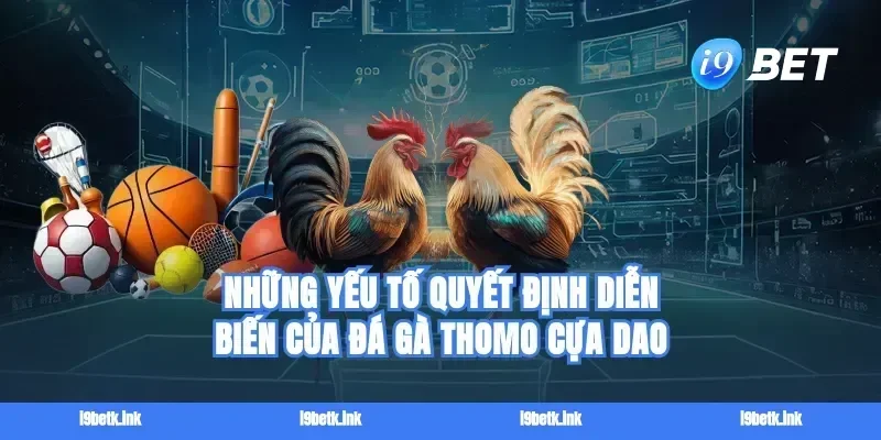 Những yếu tố quyết định diễn biến của đá gà Thomo cựa dao