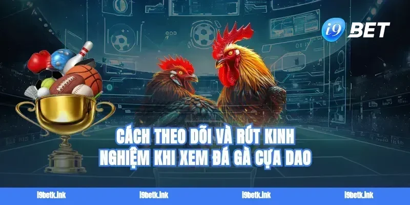 Cách theo dõi và rút kinh nghiệm khi xem đá gà cựa dao
